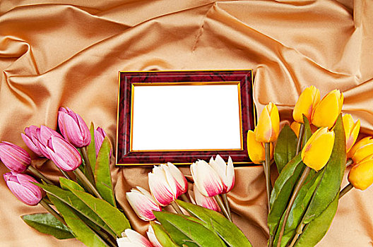 画框,郁金香,花,绸缎