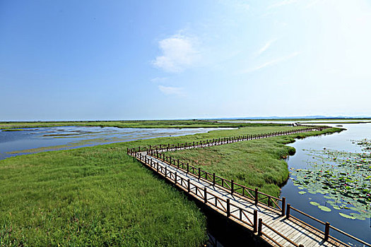 千鸟湖湿地