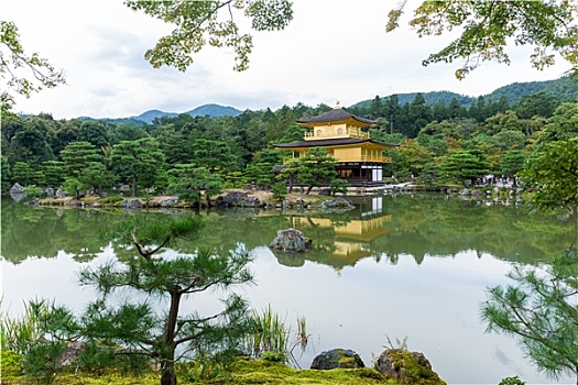 金阁寺,庙宇,京都,日本