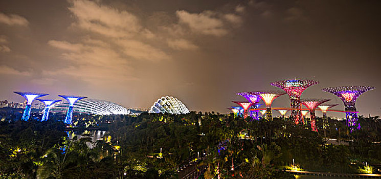 光亮,树,夜晚,花园,湾,新加坡,亚洲