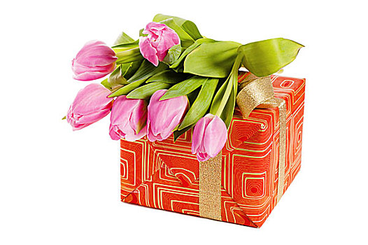 粉色,郁金香,礼盒,隔绝,白色背景