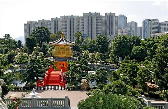 女修道院,植物园,塔,摩天大楼,背影,香港,中国,亚洲