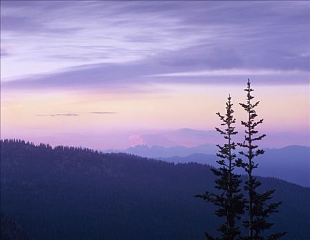 喀斯喀特山脉,日出,雷尼尔山国家公园,华盛顿