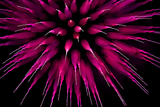 抽象,紫色,烟花,爆炸,关注,拉拽,英格兰