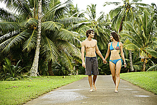 夏威夷,考艾岛,北岸,伴侣,走,小路,握手