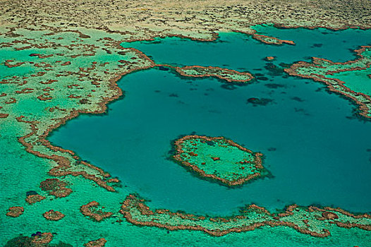航拍,大堡礁,世界遗产,昆士兰,澳大利亚,大洋洲