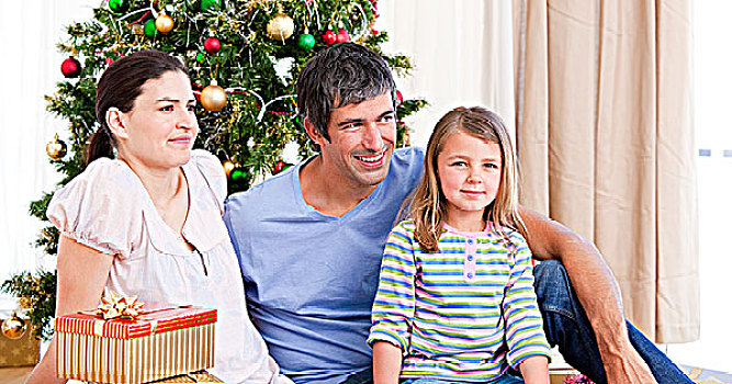 家庭,圣诞节,肖像