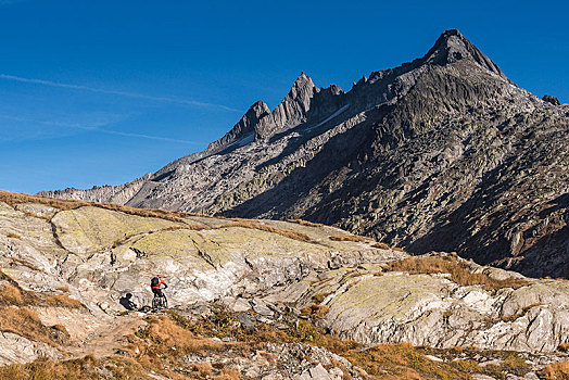 山地车手,顶峰,瓦莱,阿尔卑斯山,伯恩高地,瑞士,欧洲