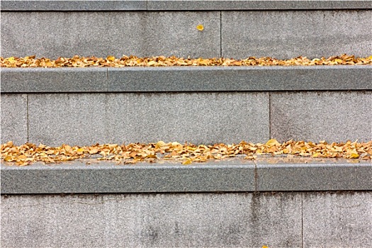 灰色,水泥,楼梯,黄色,秋叶