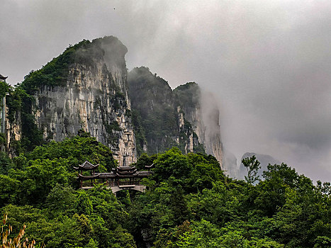 恩施,黄鹤峰,风景,景点,旅游,高山,山区,神秘,树木,植被,石头,鄂西,奇石,峡谷,壮观,云海,仙境