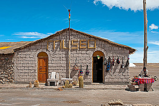 博物馆,盐湖,乌尤尼盐沼,高原,玻利维亚,南美