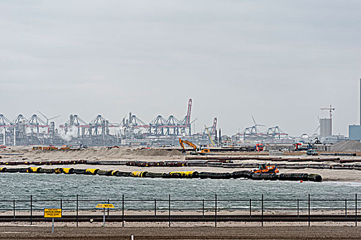 工地,新,集装箱码头,鹿特丹,港口,荷兰
