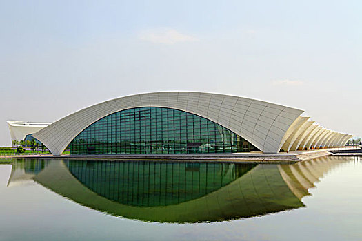 上海东方体育中心,游泳馆