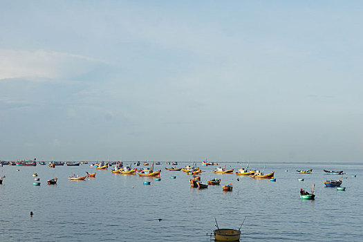 越南,海湾,渔船,海鲜,市场,渔民