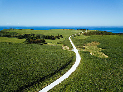 白色,道路