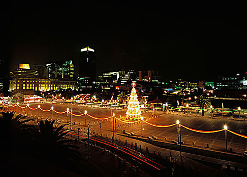 圣诞树,广场,约翰内斯堡,南非