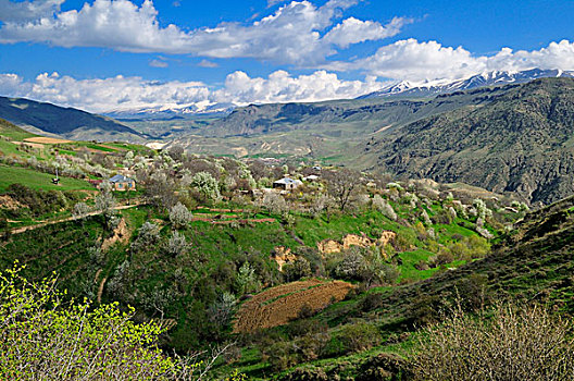 风景,上方,山谷,山峦,区域,亚美尼亚,亚洲