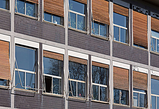 窗户,木质,百叶窗,建筑,写字楼,克莱菲德,北莱茵威斯特伐利亚,德国