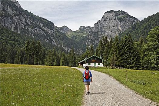 远足者,阿尔卑斯小屋,山谷,上巴伐利亚,德国