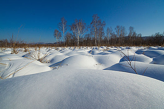 三江湿地塔头雪景29