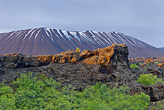 火山岩,白蜡树,火山口,区域,冰岛,欧洲