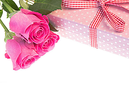 粉色,玫瑰,休息,圆点花纹,包装,礼物,格子布,丝带,留白
