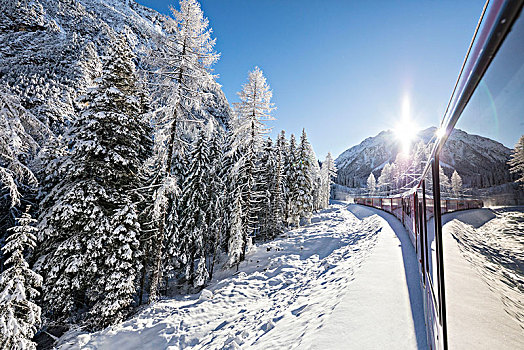 高速列车,雪,木头,山谷,格劳宾登,瑞士