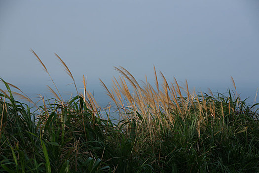 东极岛