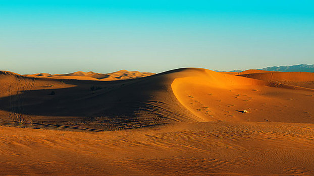 沙坡头沙漠某处