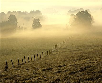 风景,晨雾,草场,栅栏,上巴伐利亚,德国