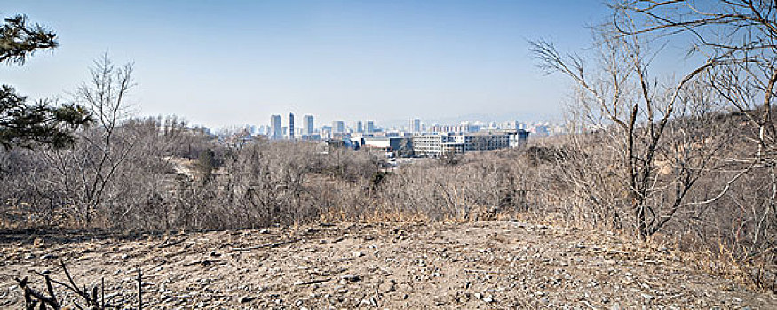 北京城市加路面风光