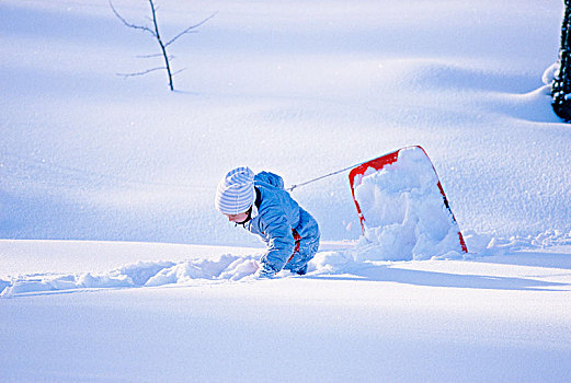 孩子,拉拽,雪橇,积雪,陆地,侧面视角