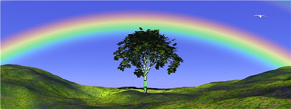 树,彩虹