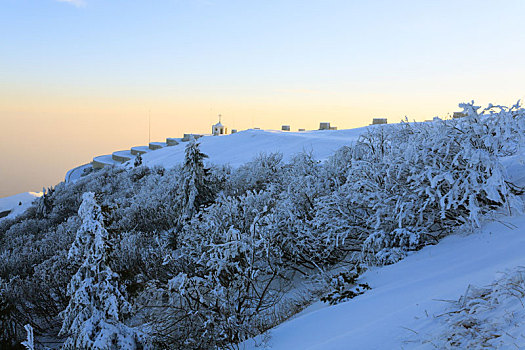 冬季风景,蒙特卡罗,格拉巴酒