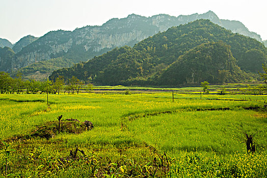 田园风光