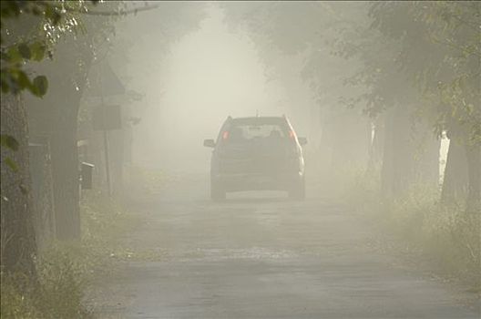 汽车,雾,瑞典