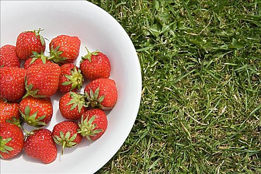 碗,草莓,草地