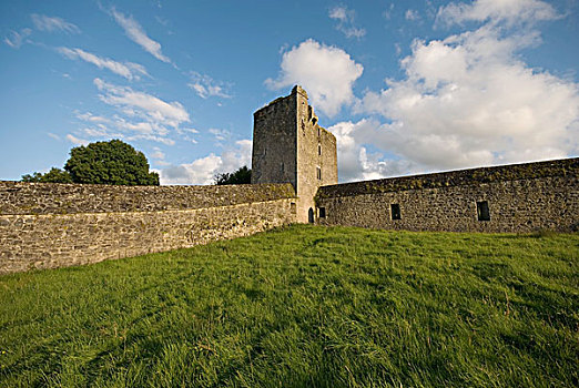 石墙,塔,遗址,12世纪,小修道院,基尔肯尼郡,爱尔兰