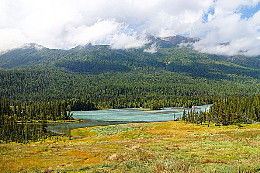 新疆,阿勒泰,喀纳斯湖,自然风景,旅行