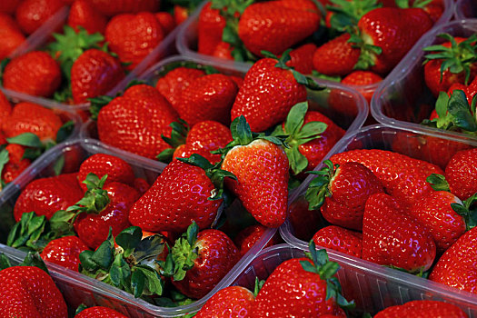 新鲜,红色,成熟,草莓,塑料盒