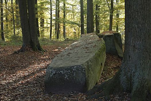 长,石头,山,黑森州,德国