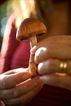 蘑菇,手