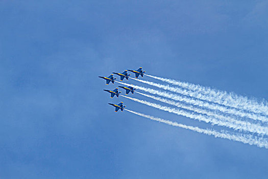 西雅图,蓝色,天使,表演,a-18,大黄蜂,飞机