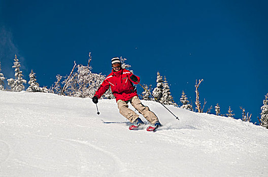 男人,滑雪,积雪,风景,佛蒙特州,美国