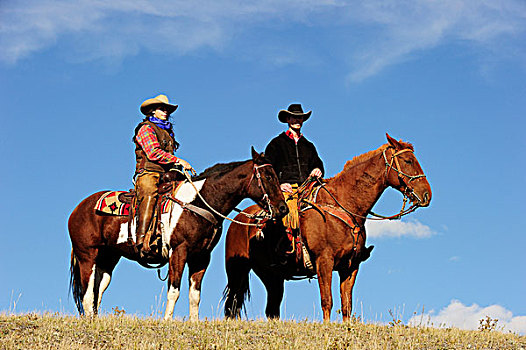 女牛仔,牛仔,马,看,远景,萨斯喀彻温,加拿大,北美