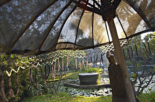 印度尼西亚,巴厘岛,伞,花园,水池,背景