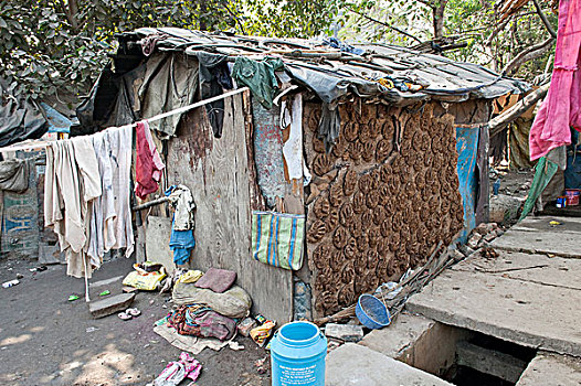 母牛,粪,室外,墙壁,小屋,贫民窟,地区,加尔各答,西孟加拉,东印度,印度,亚洲