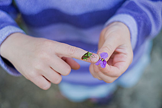 特写,女孩,昆虫,握着,紫花