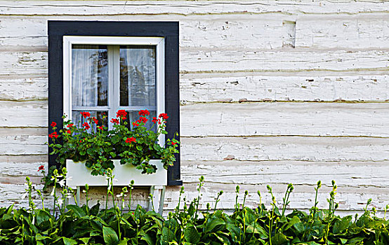 老,原木,房子,花,窗,盒子,铁,山,魁北克,加拿大