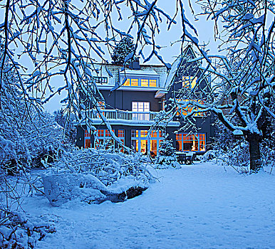 漂亮,别墅,雪